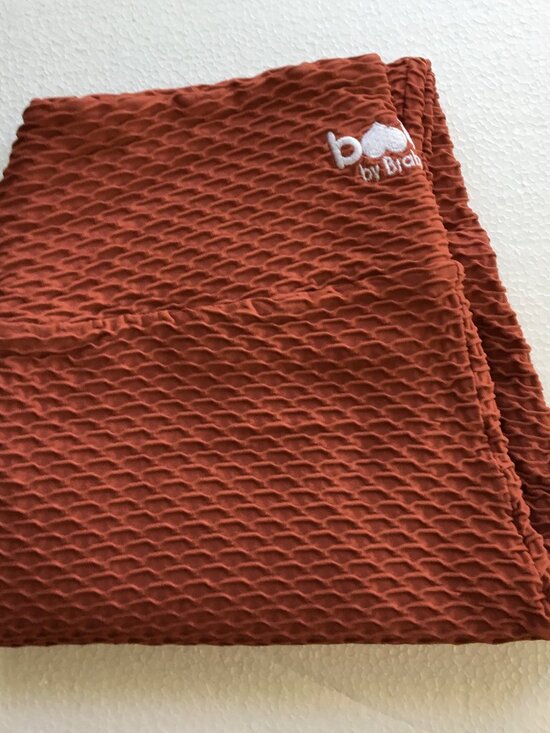 Booty by Brabants Pants - Booty by Brabants [BBB] Croco Curvy Leggings Rust Colored